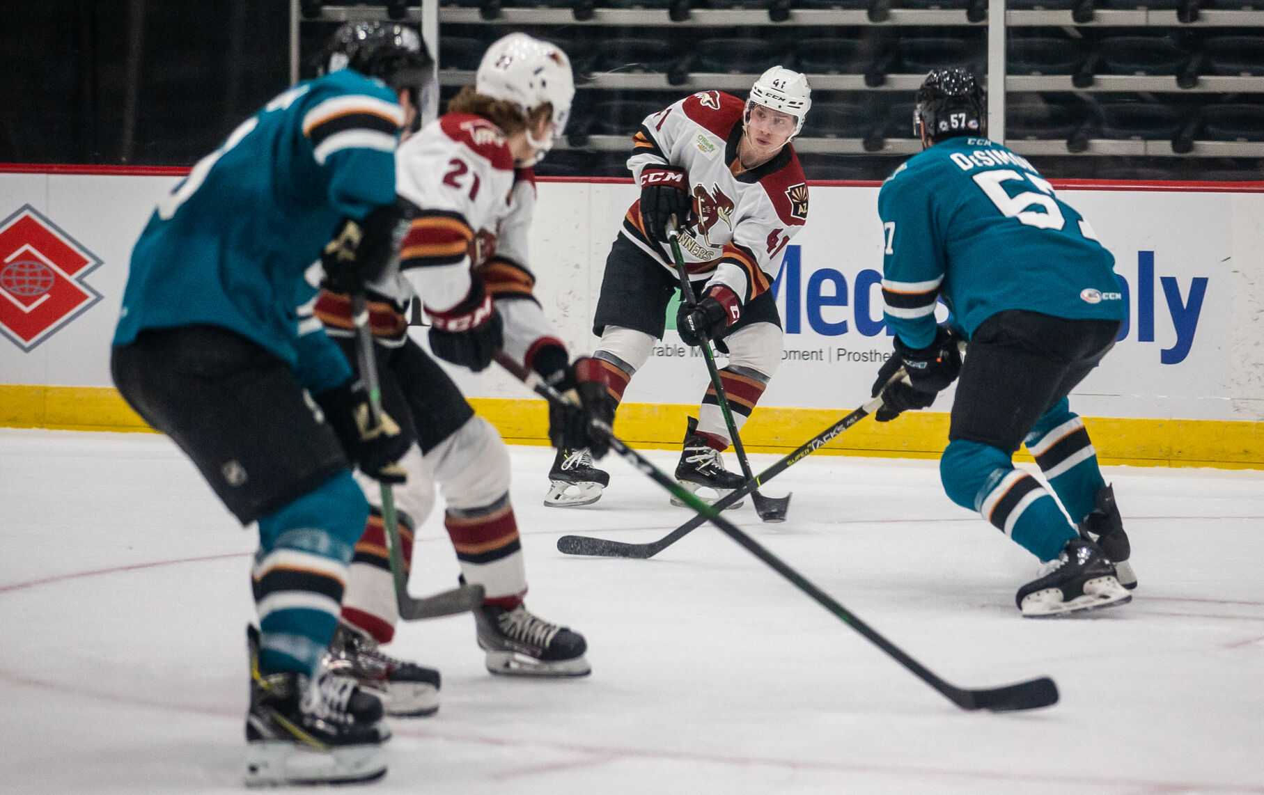 Roadrunners Vs Barracuda